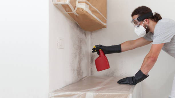 Professional Black Mold Removal technician working in Diggs, VA