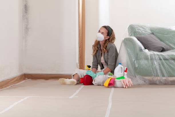 Reliable Black Mold Removal contractor in Diggs, VA by WQB Mold Removal